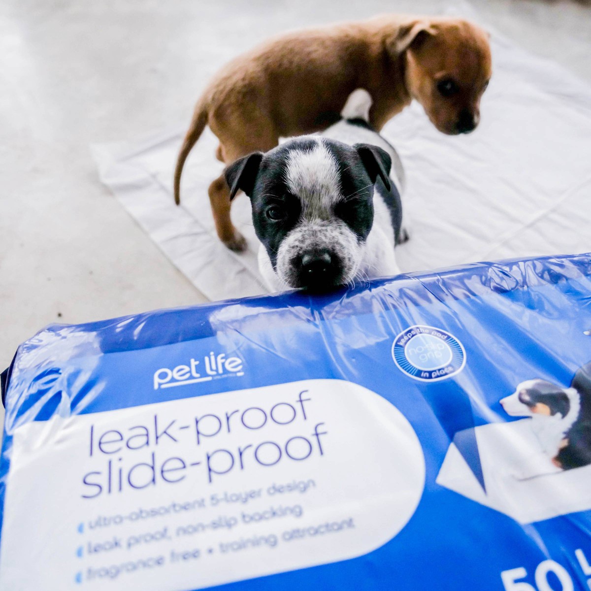 slide 4 of 6, Pet Life Unlimited Puppy Pads - 50ct, 50 ct