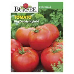 Burpee Tomato, Big Daddy Hybrid