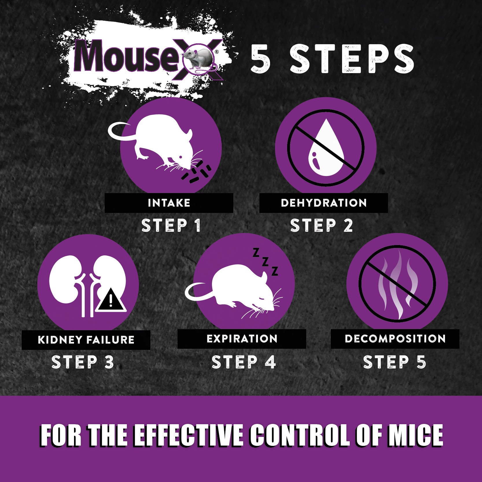 slide 2 of 5, MouseX 6-Count Throw Packs Mouse Killer, 6 ct
