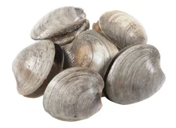 Littleneck Clams