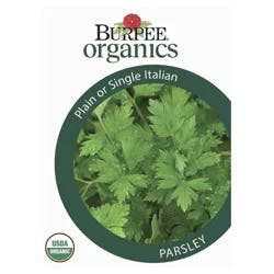 Burpee Parsley, Single Italian Plain
