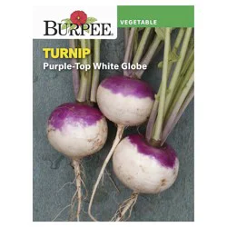 Burpee Turnip, Purple Top White Globe