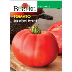 Burpee Tomato Super Tom
