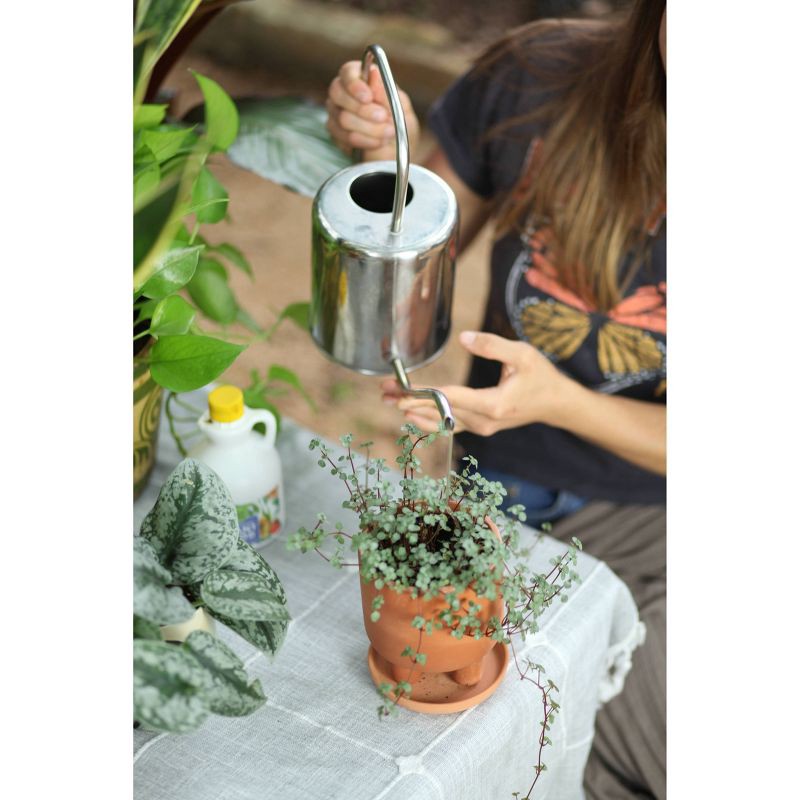 slide 4 of 5, Good Dirt Naturals Indoor/Outdoor Plant Food - 15 fl oz, 15 fl oz