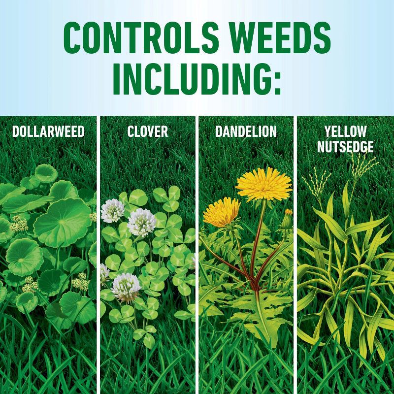 slide 5 of 11, Roundup for Lawns Southern Herbicide With Wand - 1 gal: Ready-to-Use, Controls Unwanted Vegetation, 400 sq ft Coverage, 1 gal, 400 sq ft