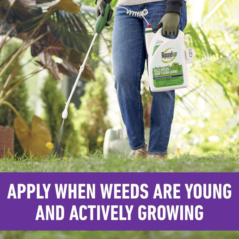 slide 7 of 11, Roundup for Lawns Southern Herbicide With Wand - 1 gal: Ready-to-Use, Controls Unwanted Vegetation, 400 sq ft Coverage, 1 gal, 400 sq ft