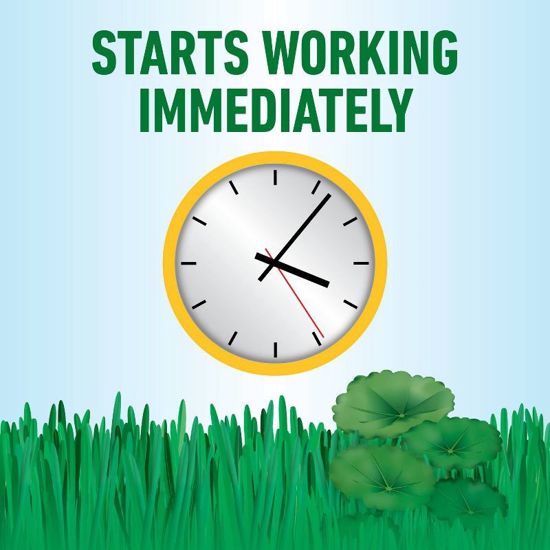 slide 8 of 11, Roundup for Lawns Southern Herbicide With Wand - 1 gal: Ready-to-Use, Controls Unwanted Vegetation, 400 sq ft Coverage, 1 gal, 400 sq ft