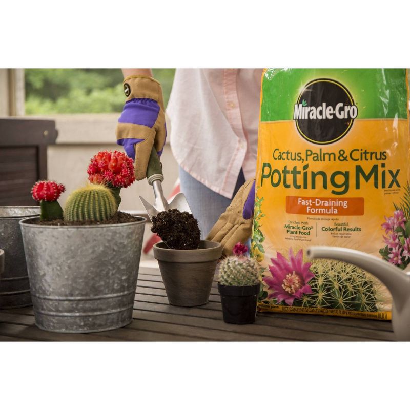 slide 2 of 7, Miracle-Gro Cactus Palm Citrus Potting Soil - 8qt: Enriched Mix for Indoor Plant Growth, Fast Drainage, 8 qt