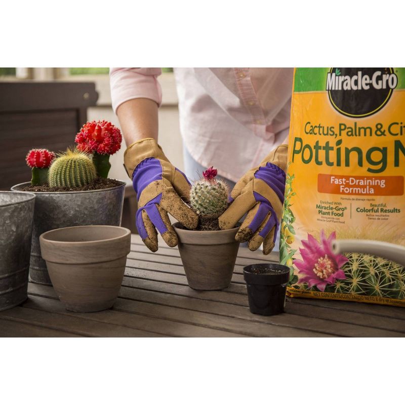 slide 4 of 7, Miracle-Gro Cactus Palm Citrus Potting Soil - 8qt: Enriched Mix for Indoor Plant Growth, Fast Drainage, 8 qt