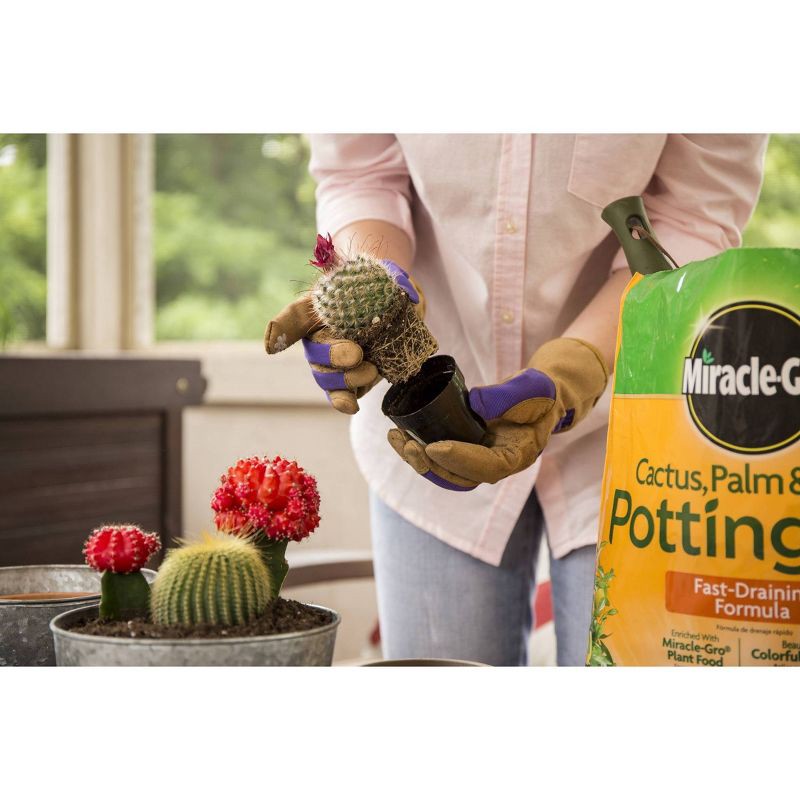 slide 5 of 7, Miracle-Gro Cactus Palm Citrus Potting Soil - 8qt: Enriched Mix for Indoor Plant Growth, Fast Drainage, 8 qt