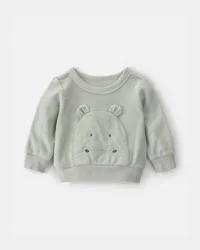 Carter's Baby Hippo Terry Pullover Sweatshirt - Green Grey 18M