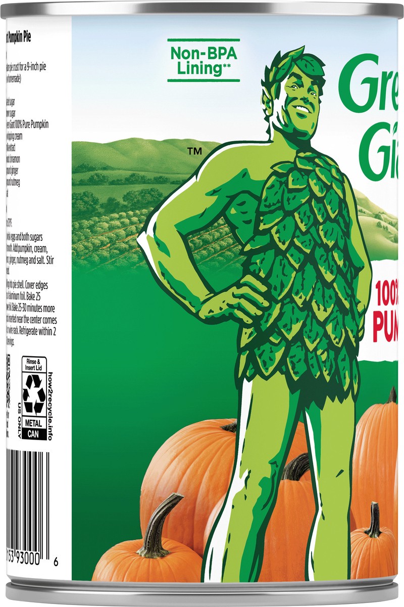 slide 6 of 8, Green Giant Pumpkin, 15 oz