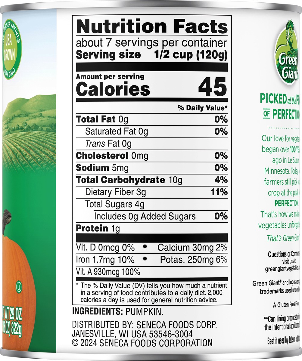 slide 6 of 9, Green Giant Family Pumpkin, 29 oz
