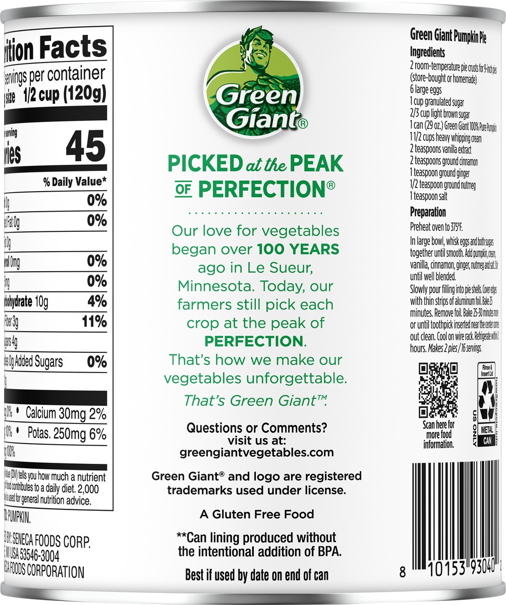 slide 9 of 9, Green Giant Family Pumpkin, 29 oz