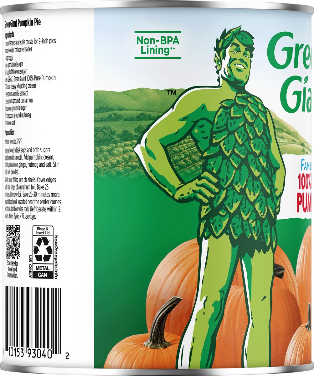 slide 2 of 9, Green Giant Family Pumpkin, 29 oz