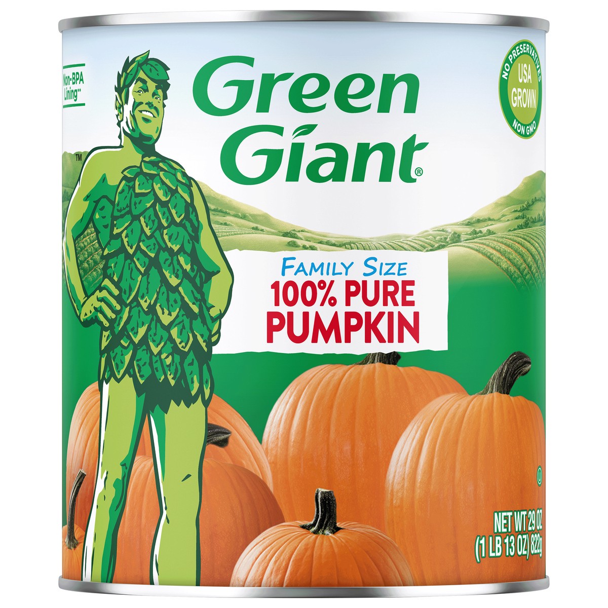 slide 7 of 9, Green Giant Family Pumpkin, 29 oz