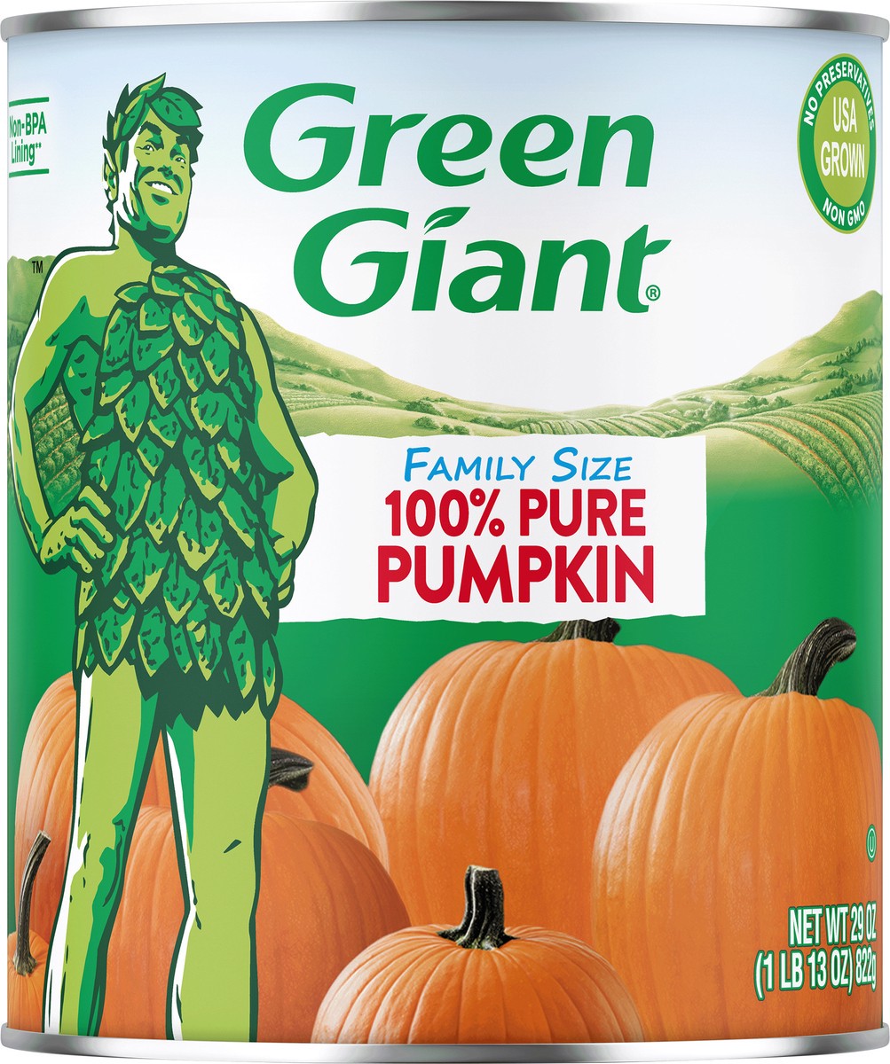 slide 5 of 9, Green Giant Family Pumpkin, 29 oz