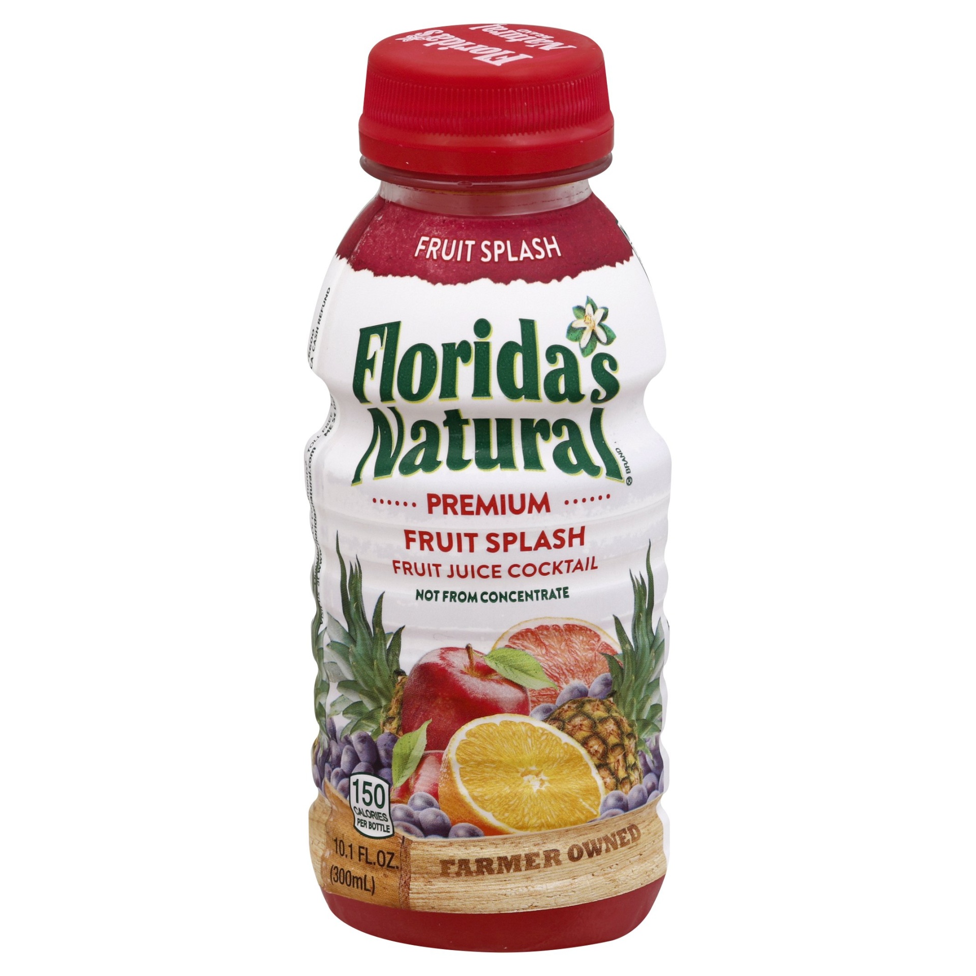slide 1 of 1, Florida's Natural Fruit Juice Cocktail Fruit Splash, 10.1 oz