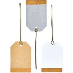 12ct Gift Tags Neutral: Carlton Cards Solid Design for All Occasions, Multicolored, 3"x2.5", Includes Cards