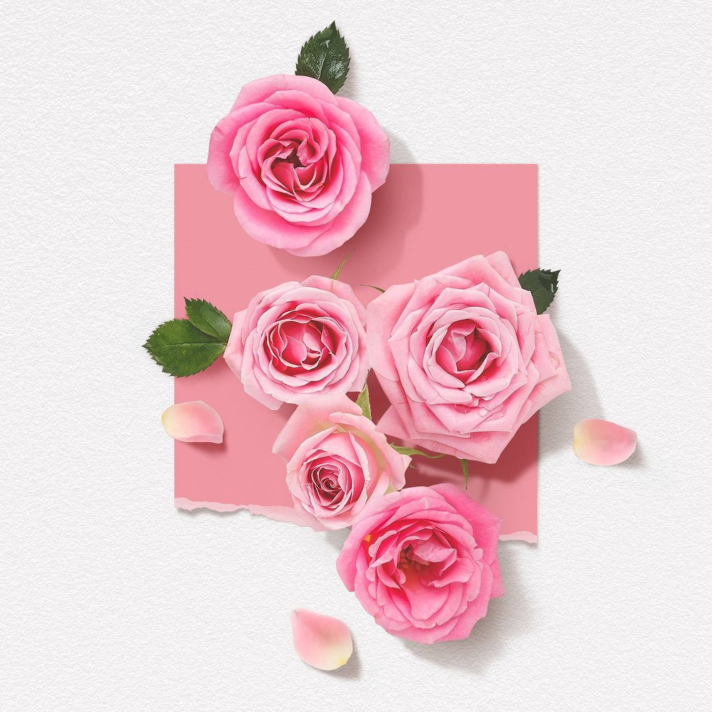 slide 4 of 7, Solinotes Women's Rose Eau De Parfum - 1.7 fl oz, 1.7 fl oz