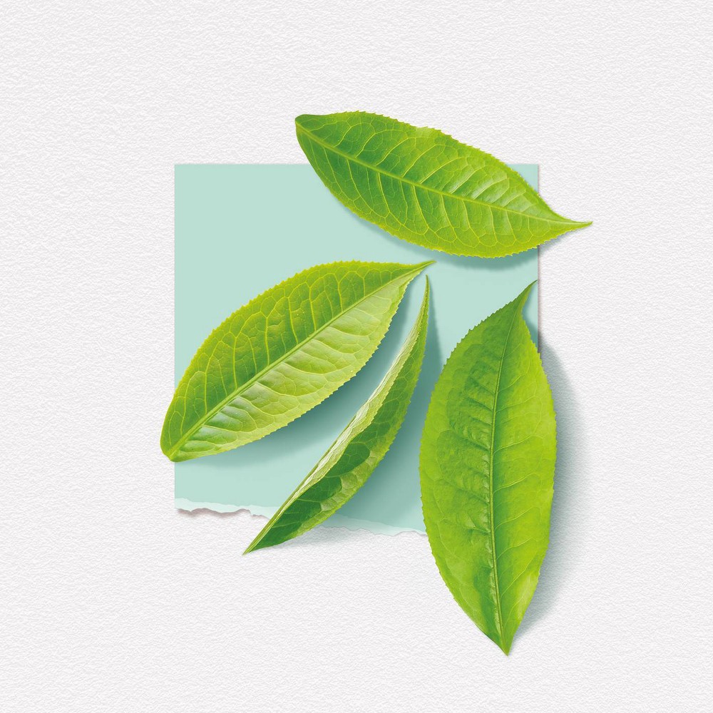 slide 6 of 8, Solinotes Women's White Tea Eau De Parfum - 1.7 fl oz, 1.7 fl oz