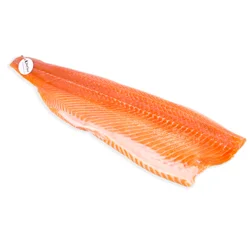 Atlantic Salmon Fillet (Scottish)
