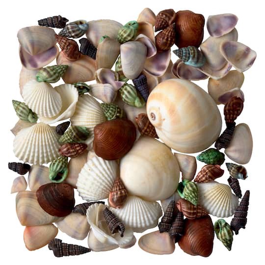 slide 1 of 3, Dyed & Natural Mixed Sea Shells By Ashland, 1.75 oz