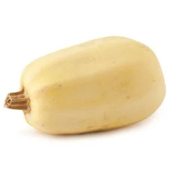 GreenPoint Spaghetti Squash