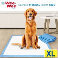 slide 9 of 13, Four Paws X-Large Wee-Wee Pads, 14 ct