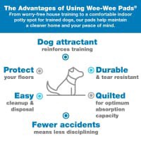 slide 4 of 13, Four Paws X-Large Wee-Wee Pads, 14 ct