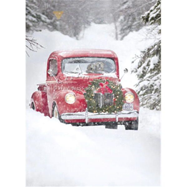 slide 1 of 1, Avanti Dogs In Truck, 1 ct