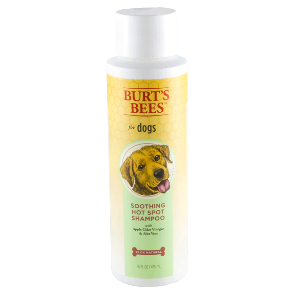 slide 1 of 1, Burt's Bees Hot Spot Shampoo for Dogs, 16 fl oz