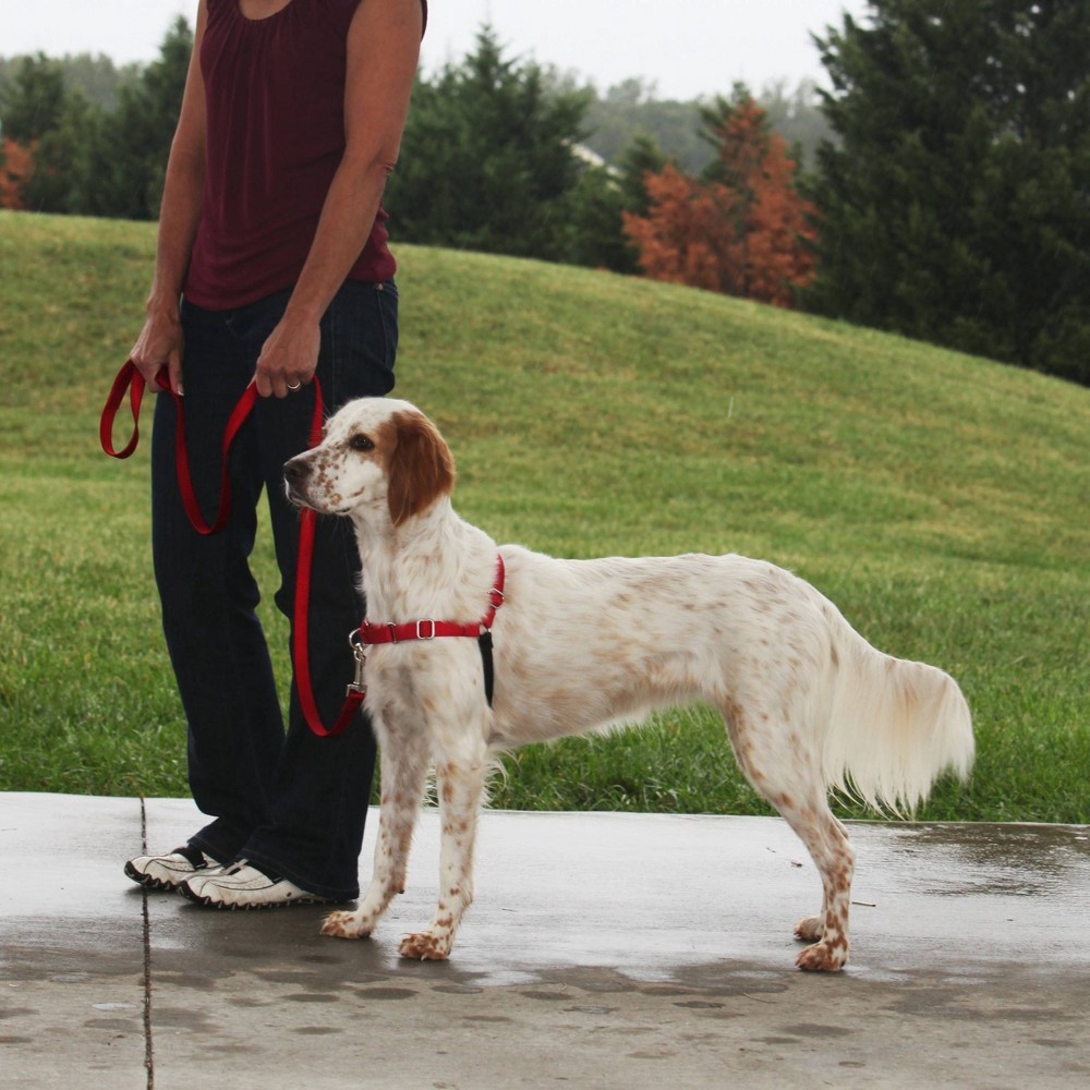 slide 2 of 4, PetSafe Easy Walk Red Dog Harness, MED