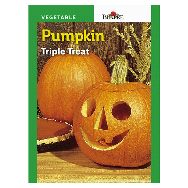 slide 1 of 5, Burpee Pumpkin Triple Treat Seeds, 1 ct