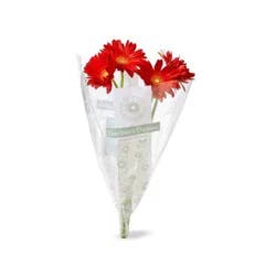 Gerbera Daisy Bunch