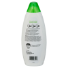 slide 20 of 21, Meijer Cool Moisture Body Wash, 22 oz