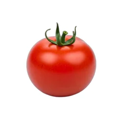 On The Vine Red Tomato