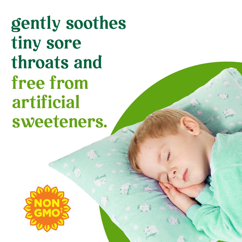 slide 5 of 5, Simple Truth Children's Nighttime Cough Syrup And Mucus Relief, 4 fl oz