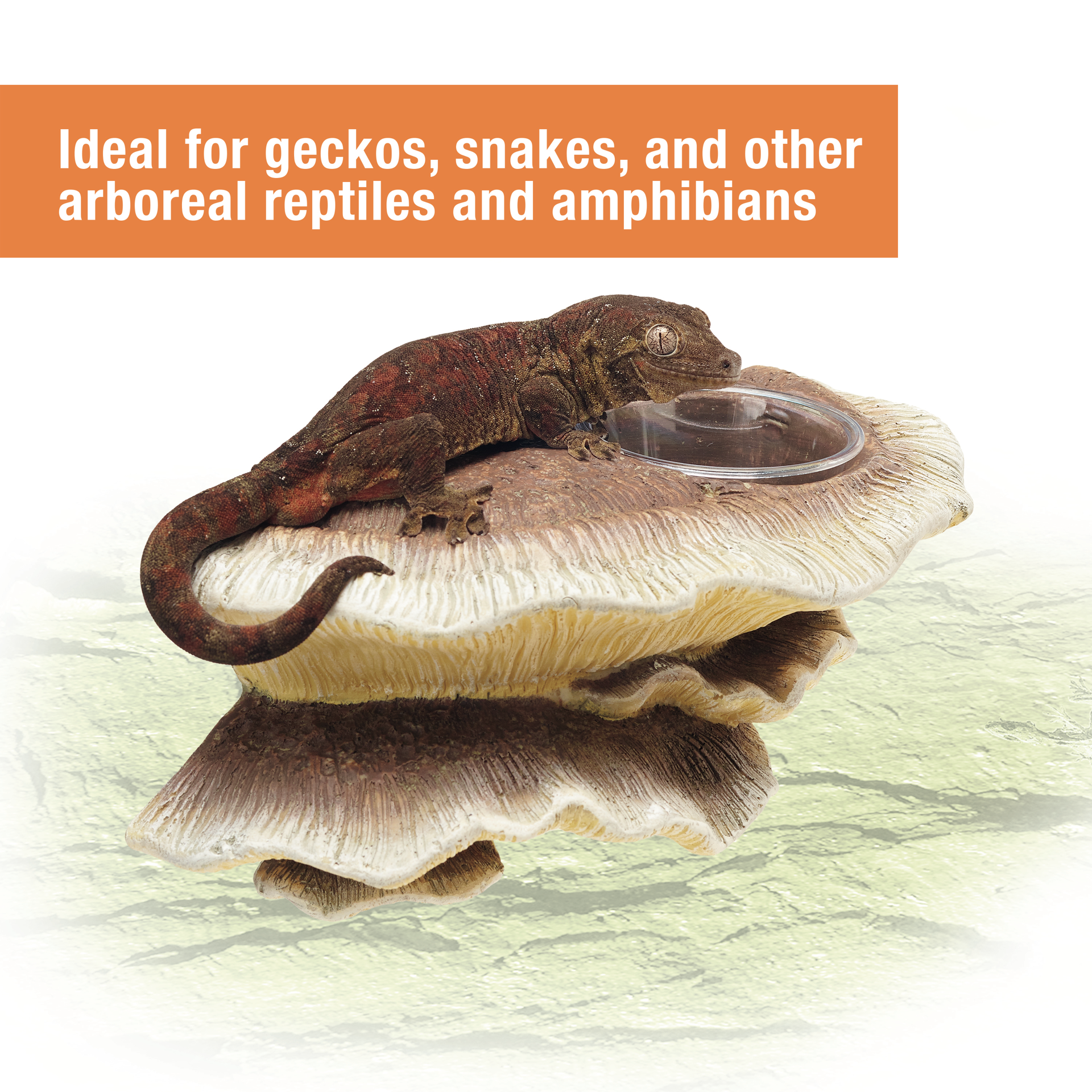 slide 6 of 6, Zilla Vertical Décor Mushroom Feeding Ledge One Size, 1 ct