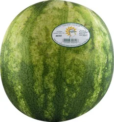 Seedless Whole Watermelon