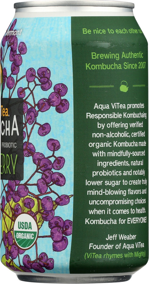 slide 2 of 5, Aqua ViTea Elderberry 12oz Single Can, 12 fl oz