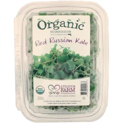 2 Friends Farm Organic Microgreens - Red Russian Kale Sprouts