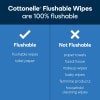 slide 4 of 21, Cottonelle XL Flushable Wet Wipes, 3 Flip-Top Packs, 45 Wipes Per Pack (135 Total Wipes), 1 ct