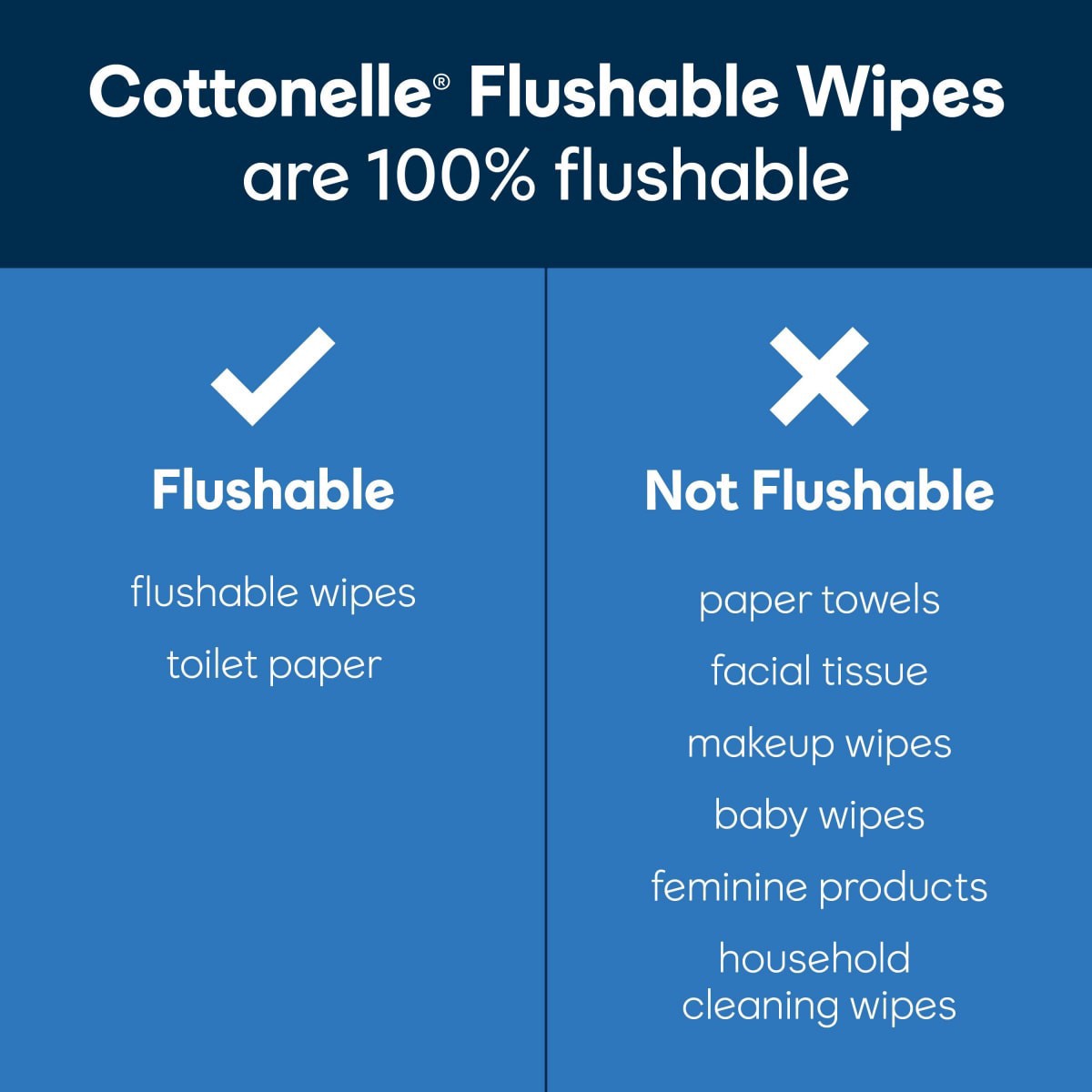 slide 6 of 21, Cottonelle XL Flushable Wet Wipes, 3 Flip-Top Packs, 45 Wipes Per Pack (135 Total Wipes), 1 ct