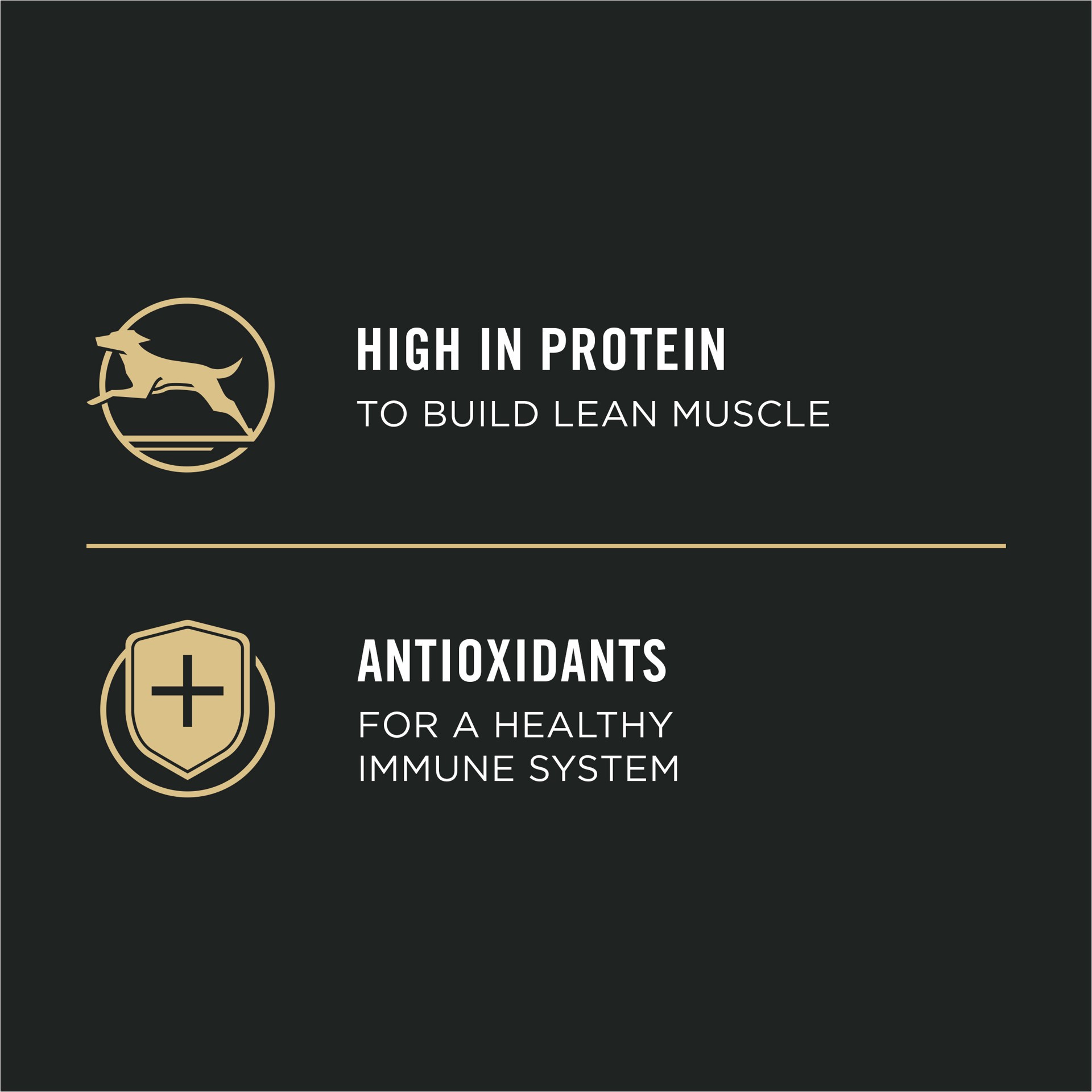 slide 8 of 9, Purina Pro Plan Sport High Protein Puppy Food Beef & Rice Entree Wet Formula, 13 oz