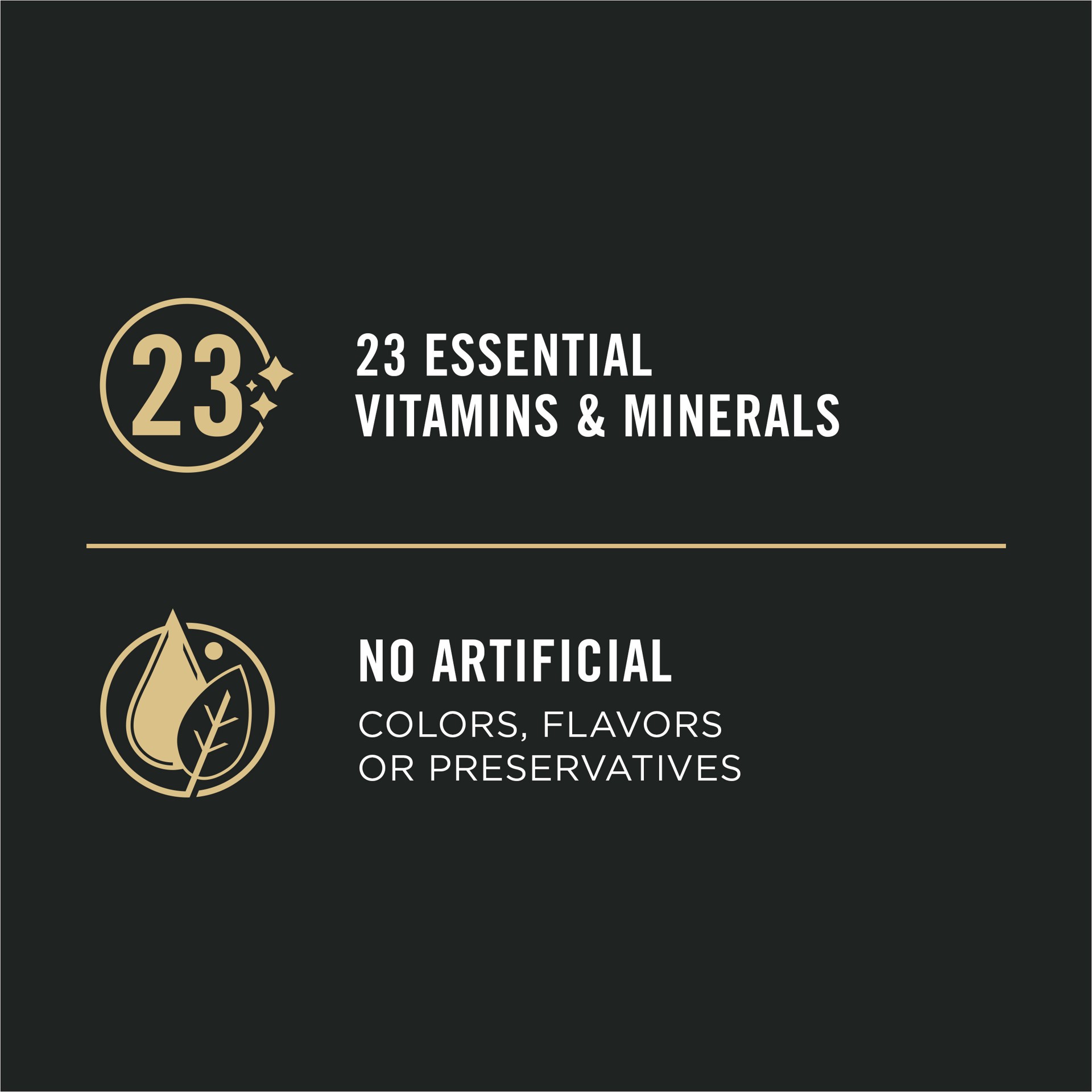 slide 5 of 9, Purina Pro Plan Sport High Protein Puppy Food Beef & Rice Entree Wet Formula, 13 oz