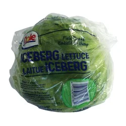 Jason Lettuce