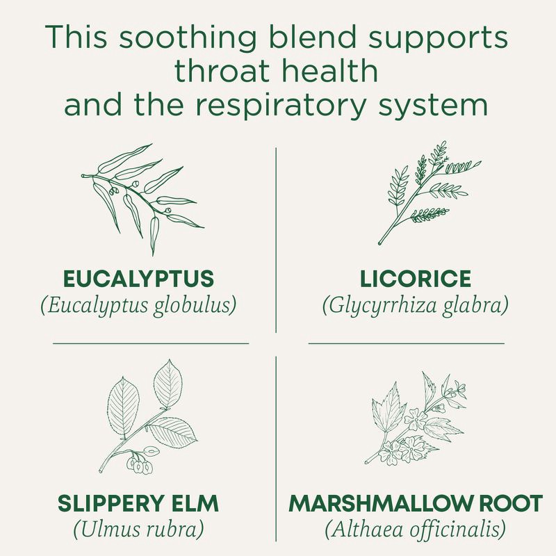 slide 2 of 13, Traditional Medicinals Traditional Medicinal Organic Throat Coat Eucalyptus Herbal Tea - 16ct, 16 ct