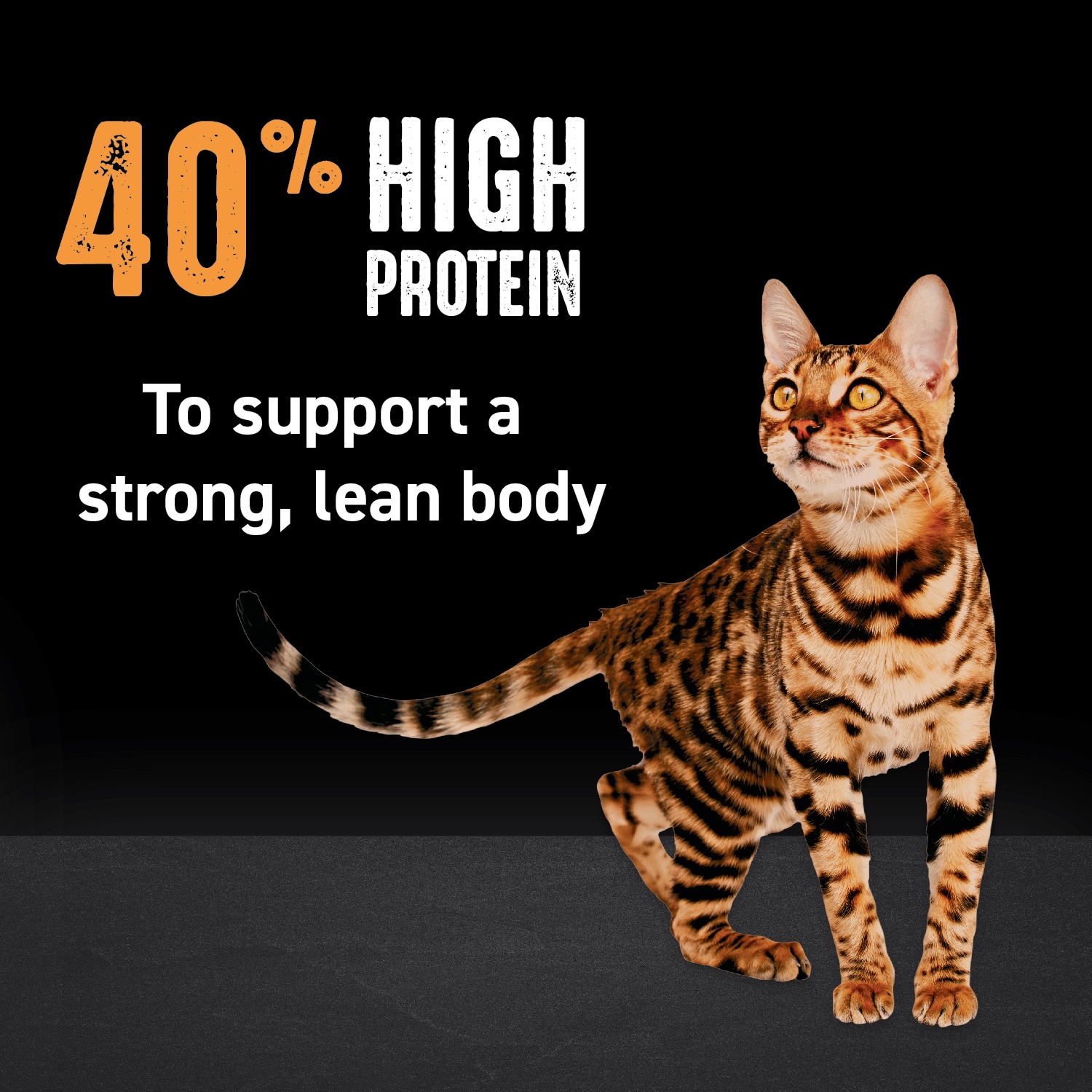 slide 7 of 7, CRAVE Grain Free Adult High Protein Natural Dry Cat Food With Protein From Chicken, 4 lb