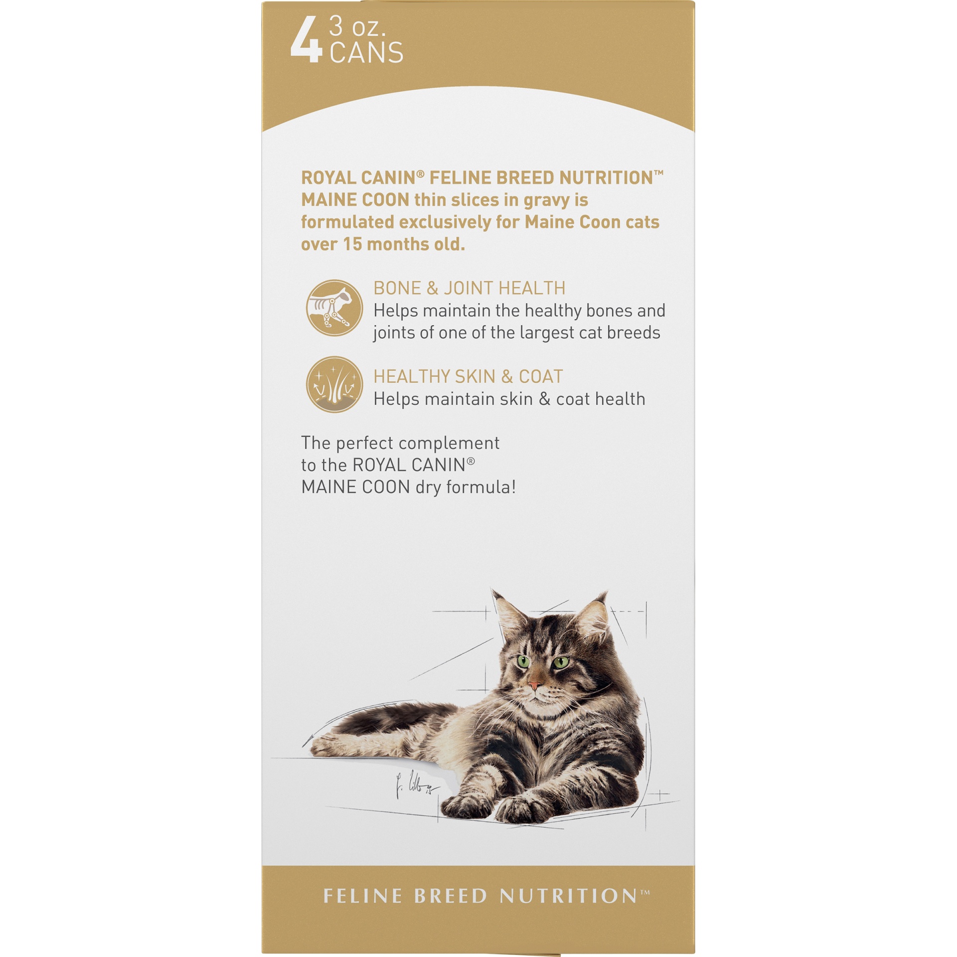 slide 4 of 9, Royal Canin Feline Breed Nutrition Maine Coon Thin Slices in Gravy Wet Cat Food, 12 oz